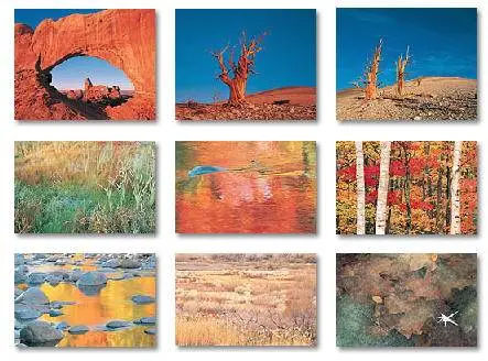 Digital Vision Vol. 180 Seasons