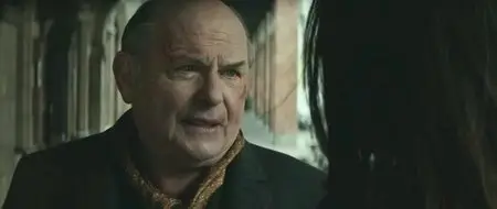 Le dernier diamant (2014)