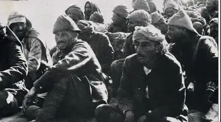 Blood and Oil: The Middle East in World War I (2006)