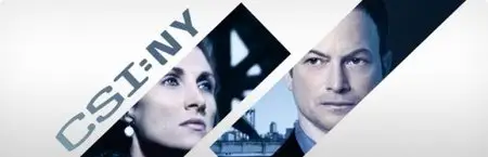 CSI: NY S07E12