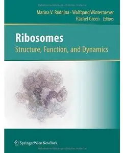 Ribosomes Structure, Function, and Dynamics