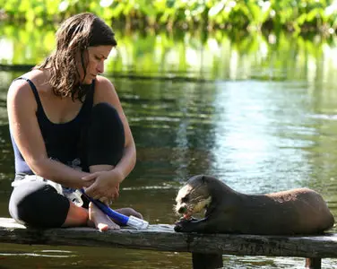BBC: Natural World - Raising Sancho: The Giant Otter Orphan (2008)