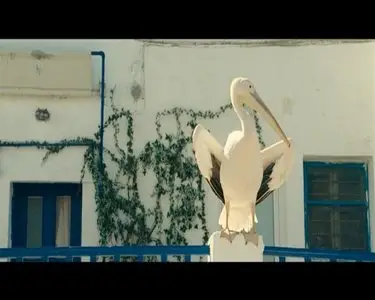 Nicostratos le pelican / Пеликан (2011)