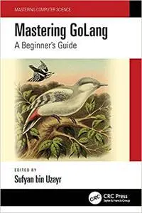 Mastering GoLang (Mastering Computer Science)