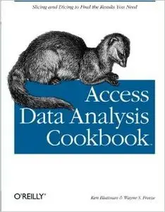 Access Data Analysis Cookbook by Wayne S. Freeze 