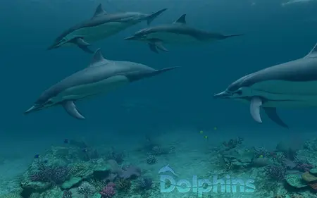 Dolphins 3D v1.1.0 Mac OS X