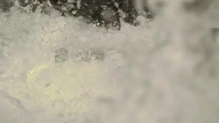 BBC Natural World - Ghost Bear Family (2015)