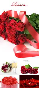 Red roses