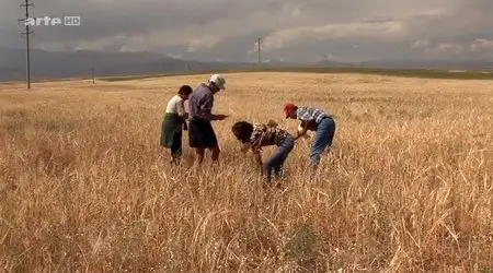 (Arte) Chasseur de graines (2013)
