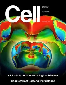 Cell - 24 April 2014