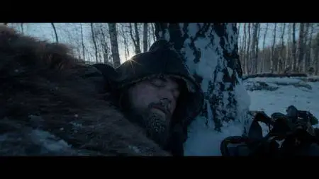 The Revenant (2015)