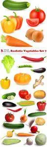 Vectors - Realistic Vegetables Set 7