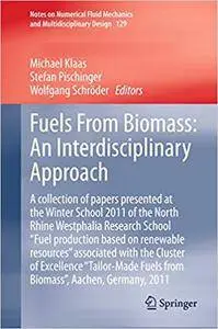 Fuels From Biomass: An Interdisciplinary Approach (Repost)