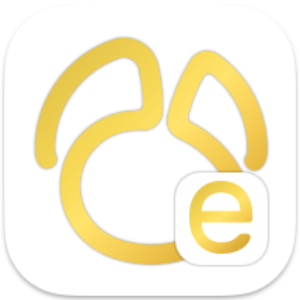 Navicat Premium Essentials 16.1.5