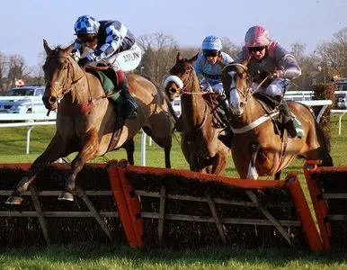 Discovery Channel – The Ultimate Guide Horse Racing [2009]