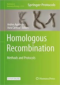 Homologous Recombination: Methods and Protocols (Methods in Molecular Biology