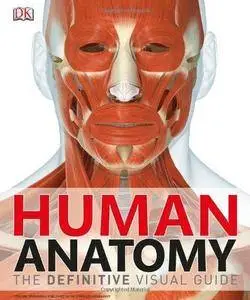 Human Anatomy: The Definitive Visual Guide (Repost)