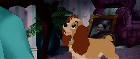 Lilli e il Vagabondo (1955)