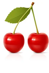 Cherry Vector