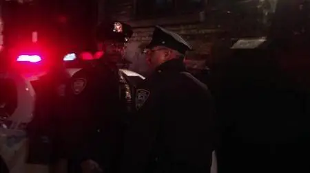 Blue Bloods S06E15