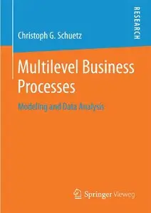Multilevel Business Processes: Modeling and Data Analysis (Repost)