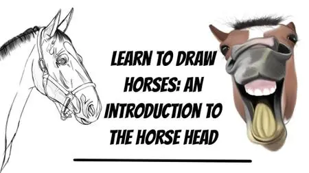 Learn To Draw Horses: An Introduction To The Horse Head