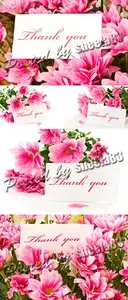 Stock Photo - Flower Cards 3
