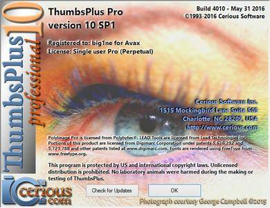 ThumbsPlus Pro 10 SP1 Beta Build 4010
