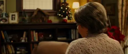 Nothing Like the Holidays (2008)