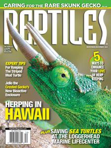 Reptiles - November-December 2021