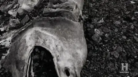 In Search Of S02E02