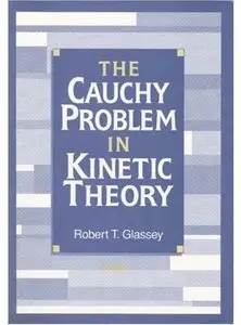 The Cauchy Problem in Kinetic Theory [Repost]