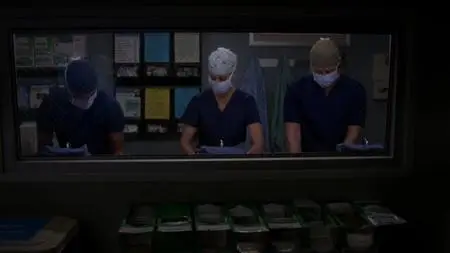 Grey's Anatomy S15E08