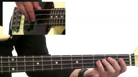 50 Bass Grooves You MUST Know [repost]