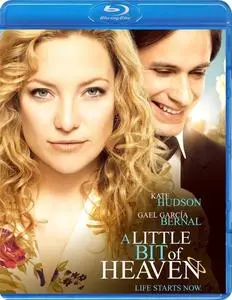 A Little Bit of Heaven (2011)