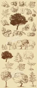 Vintage trees