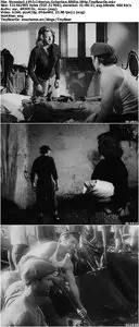 Stromboli (1950) Criterion Collection