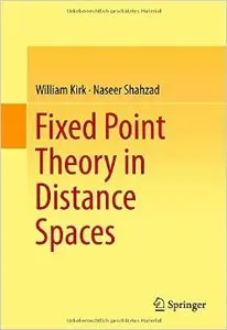 Fixed Point Theory in Distance Spaces