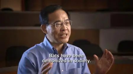 PBS - Nova : Bat Superpowers (2021)