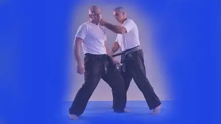 Krav Maga - Official Program Fekm Blue Belt