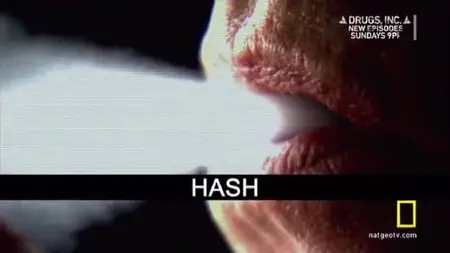 Drugs Inc. S02E02 "Hash"