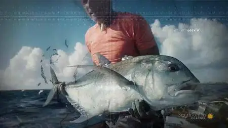 Smithsonian Channel - Fishing for Giants: Giant Barracuda (2018)