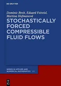 Stochastically Forced Compressible Fluid Flows: Navier-Stokes Equations with Stochastic Driving Forces