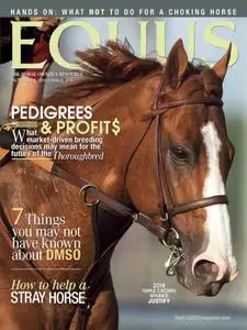 Equus - November 2018