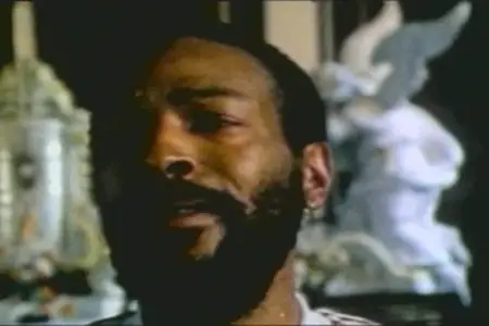 Marvin Gaye - Searching Soul (2002) [DVD+CD]
