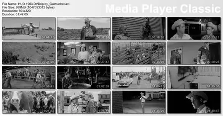 HUD [Le plus sauvage d'entre tous] 1963 [Re-UP]