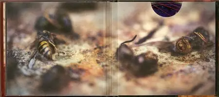 Nine Inch Nails -  Hesitation marks (2013) [Deluxe edition] 2CD