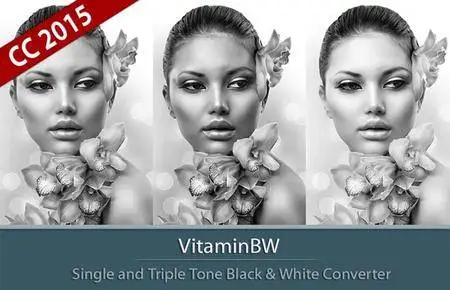 VitaminBW 1.0.3 Plug-in for Adobe Photoshop (Win/Mac)