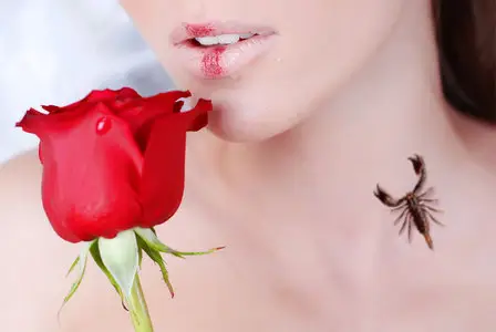 Rose & Lips