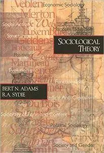 Sociological Theory (1st Edition)
